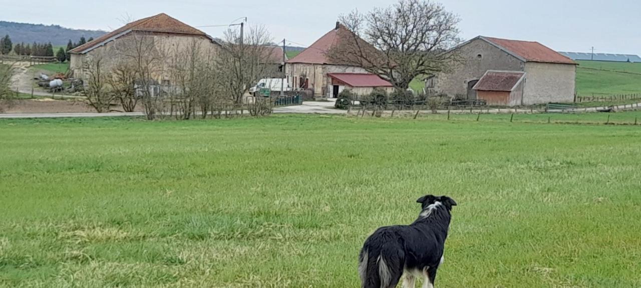 ホテル Ferme Des Champs Vrécourt エクステリア 写真
